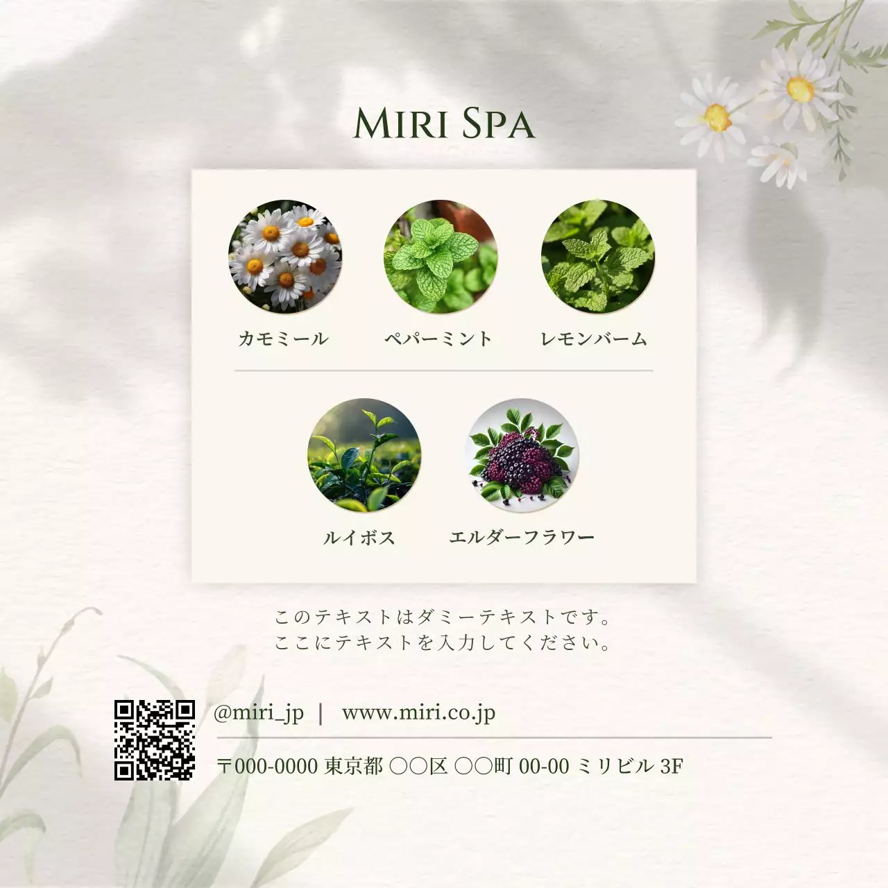 ベージュ 上品 スパ 広告 商品紹介上品