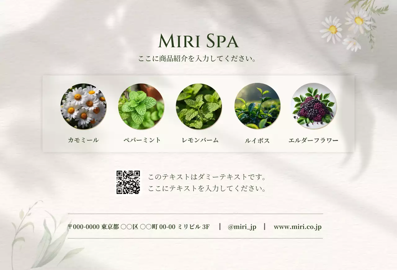 ベージュ 上品 お茶 商品紹介 商品紹介上品