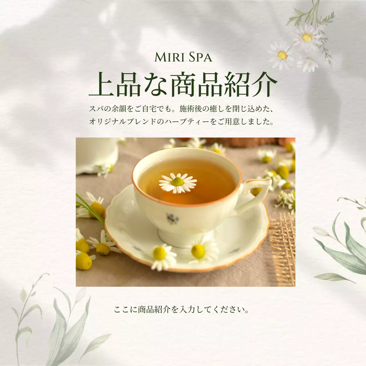 ベージュ 上品 スパ 広告 商品紹介上品