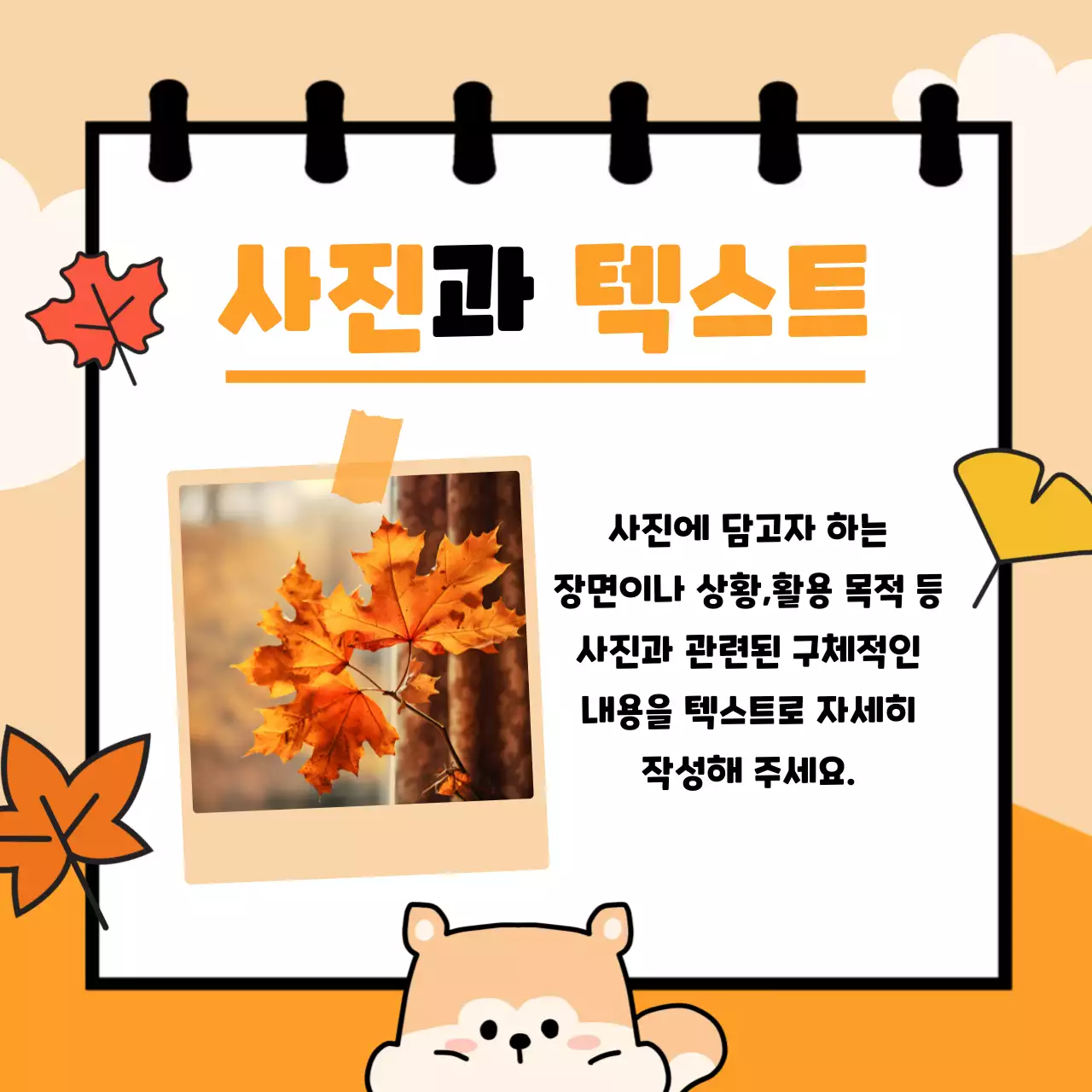 주황 아기자기한 가을 기획