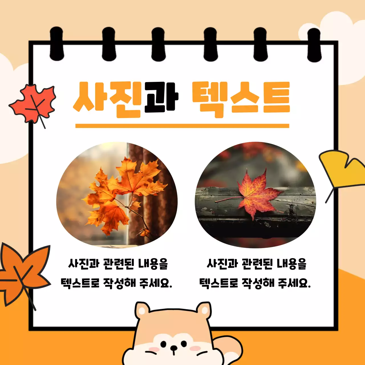 주황 아기자기한 가을 기획