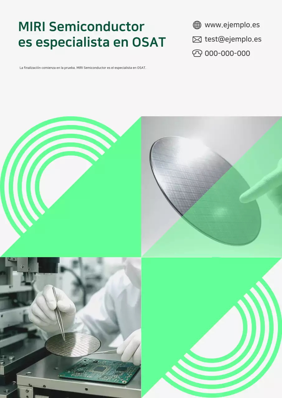 Anuncio de Mint Modern Semiconductor