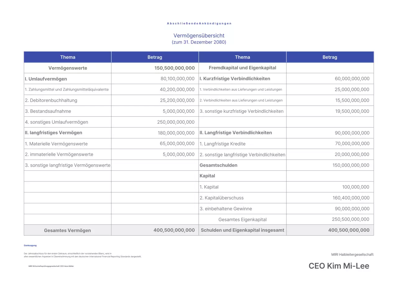 Leitfaden für Finanzberichte von Blue Clean