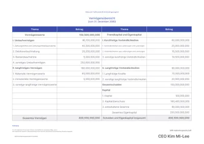 Leitfaden für Finanzberichte von Blue Clean