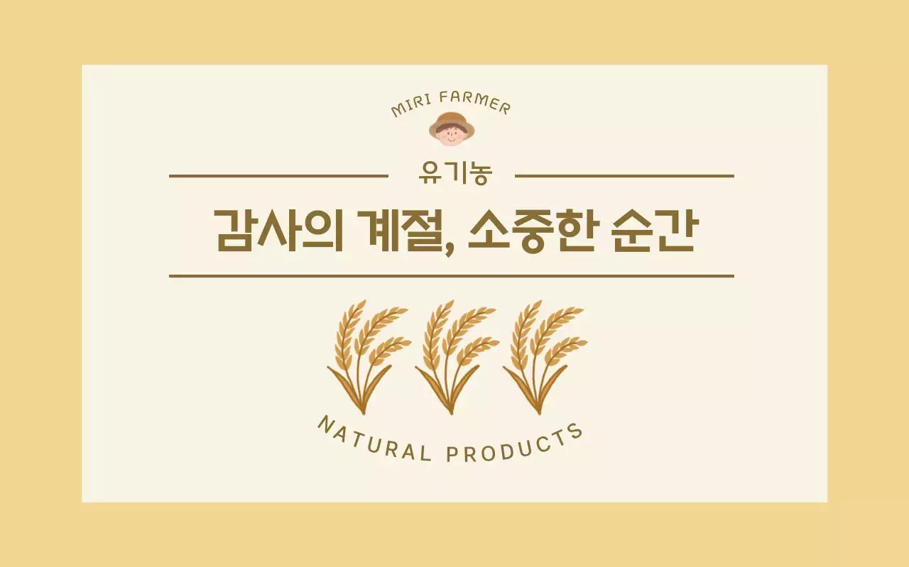 베이지 심플 자연 홍보