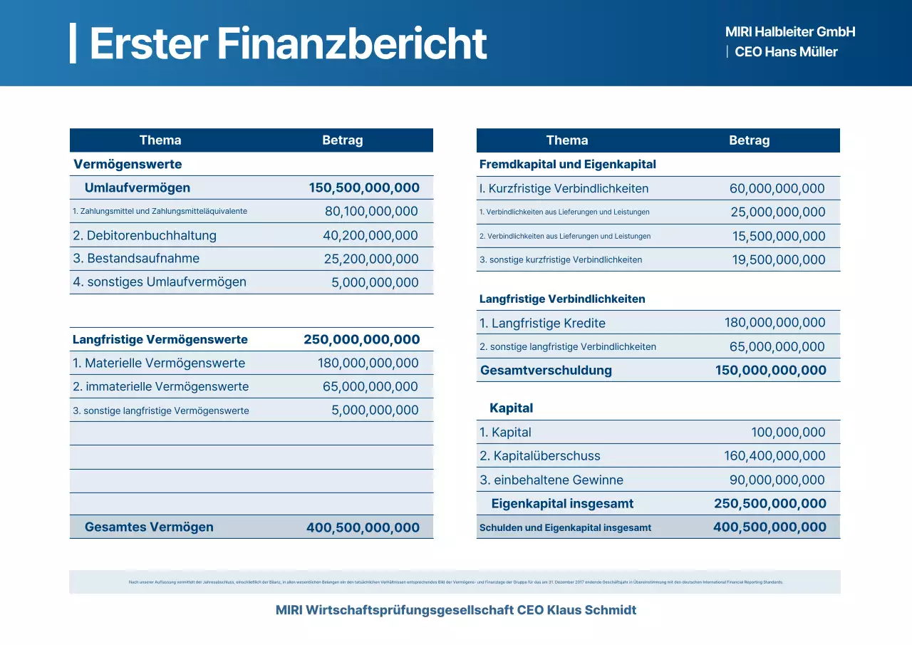 Finanzbericht von Blue Clean
