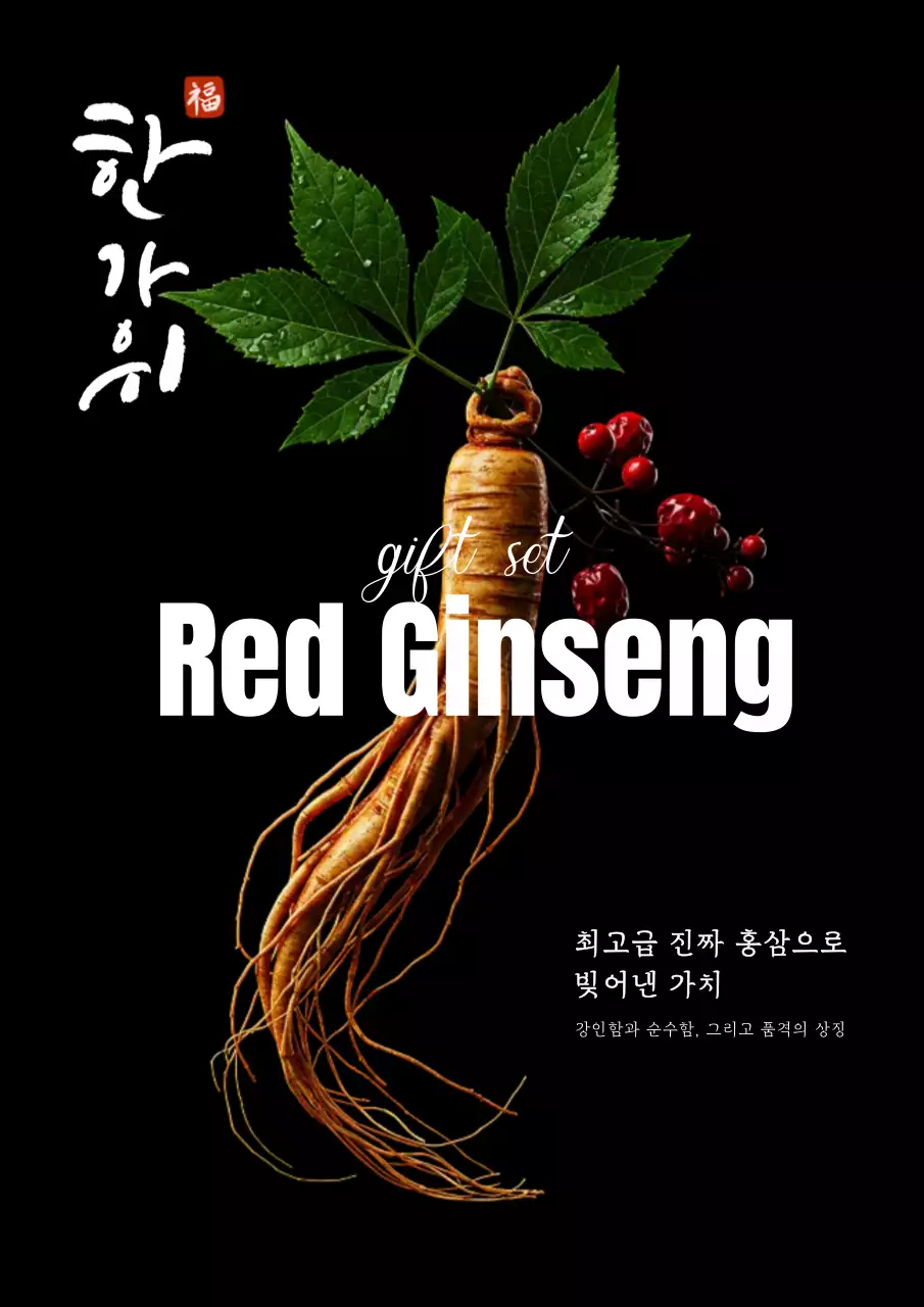 검정 고급 홍삼 선물