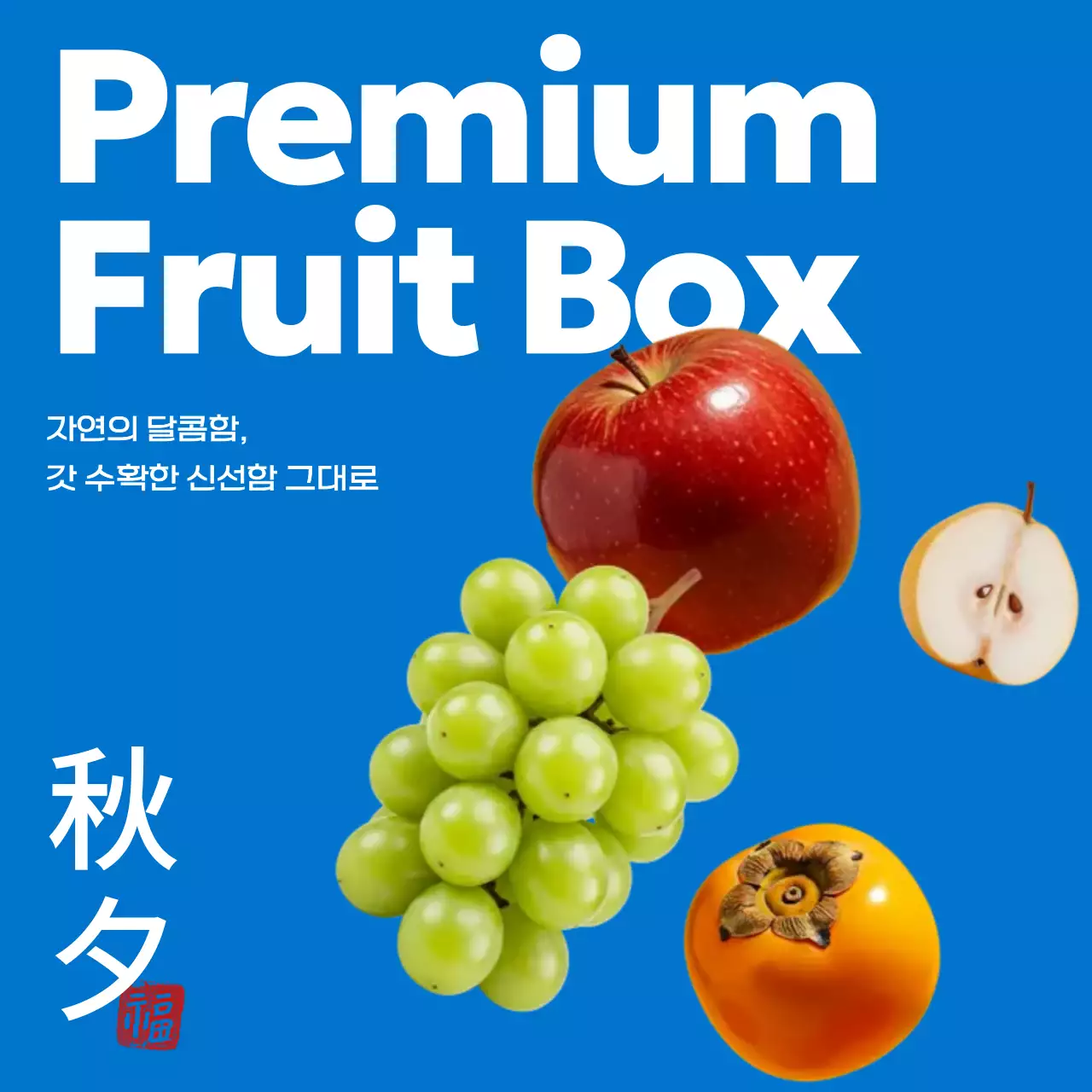 파랑 모던 과일 광고