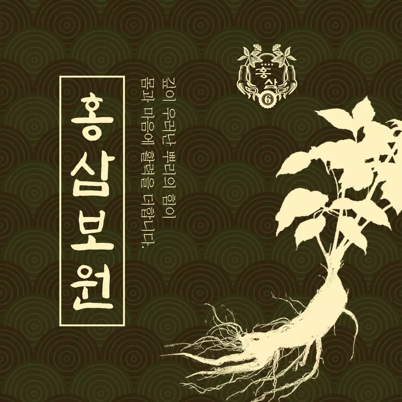 갈색 전통 건강 홍삼 홍보