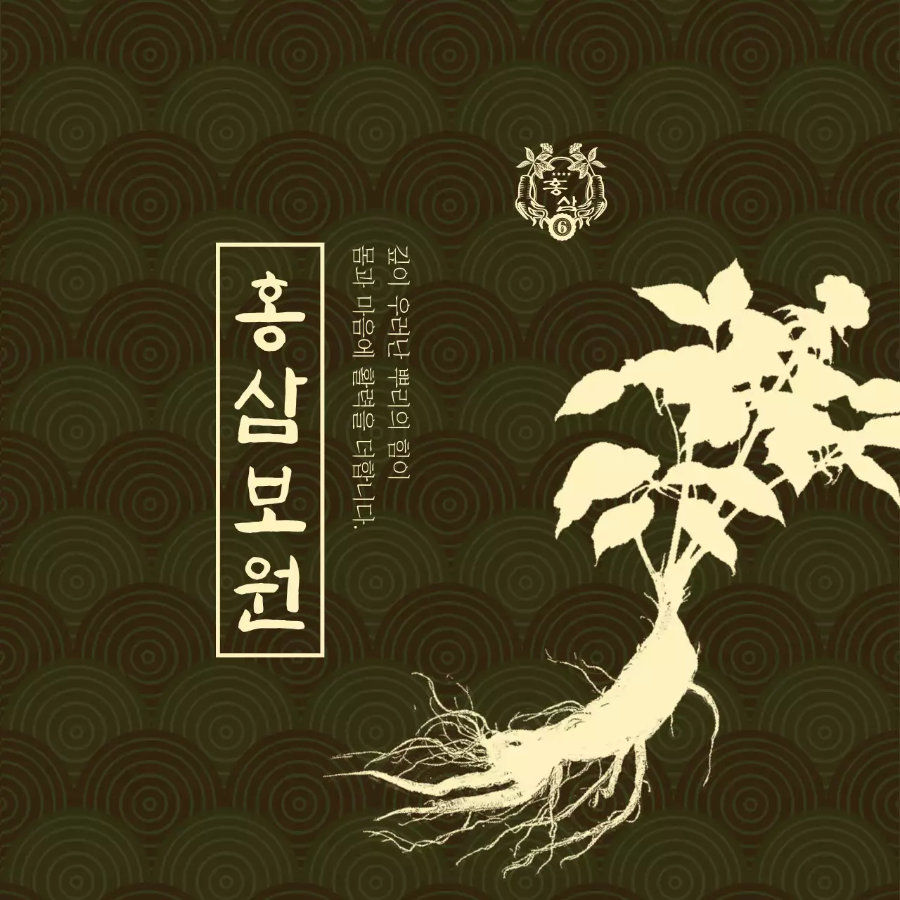 갈색 전통 건강 홍삼 홍보