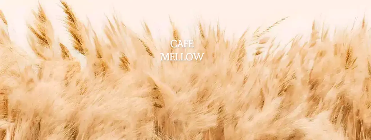 ベージュ ナチュラル カフェ 写真