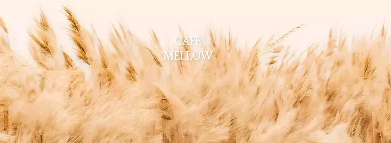 ベージュ ナチュラル カフェ 写真