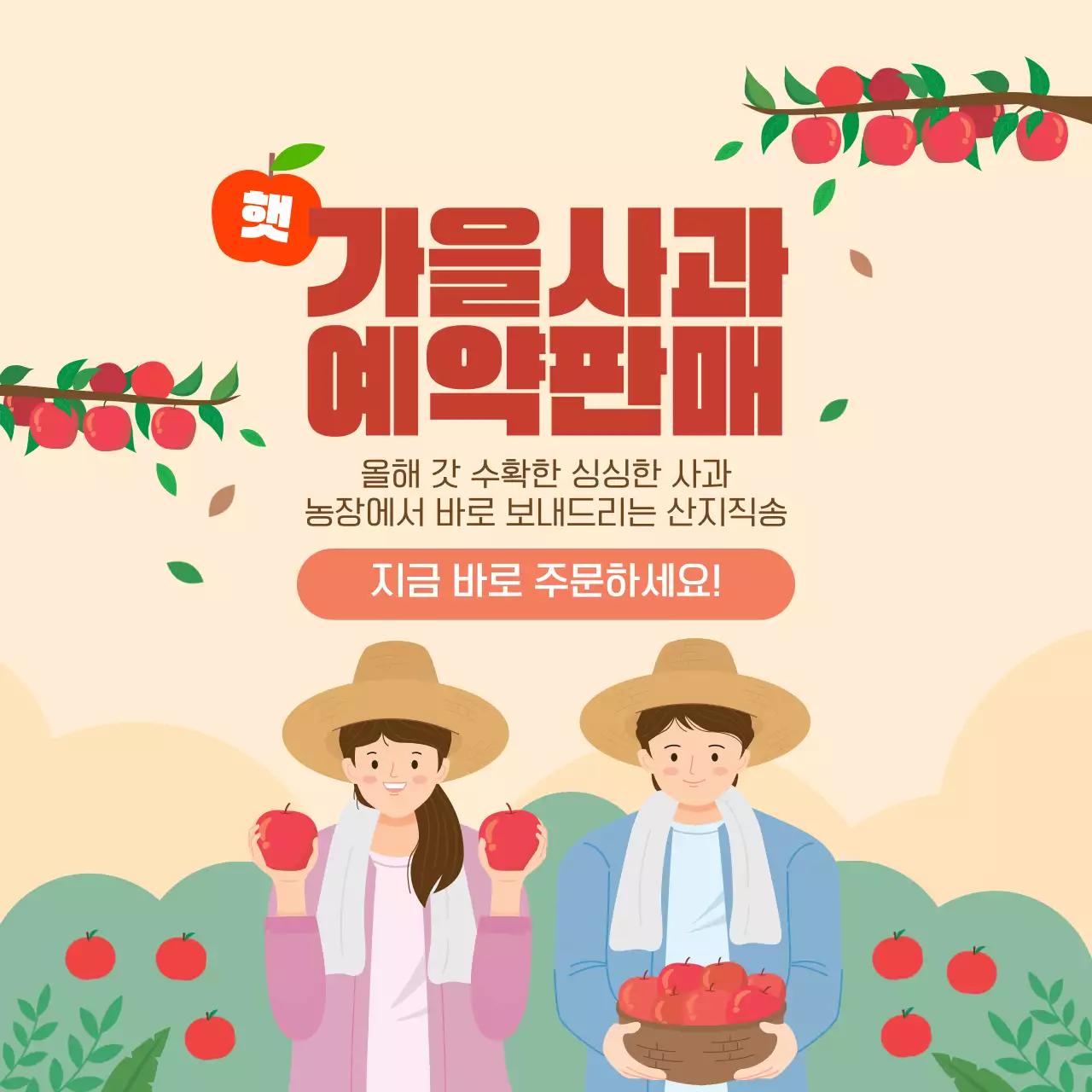 주황 초록 가을 햇사과 예약판매