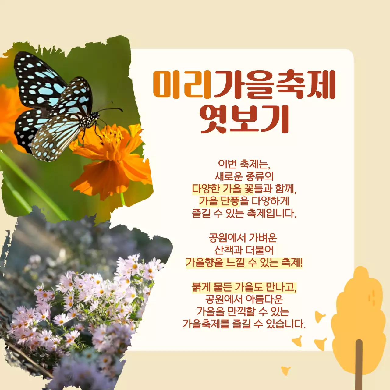 주황 가을 축제 안내
