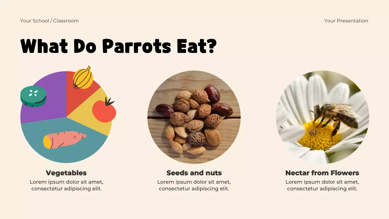 Blue Playful Animals Adventure Presentation