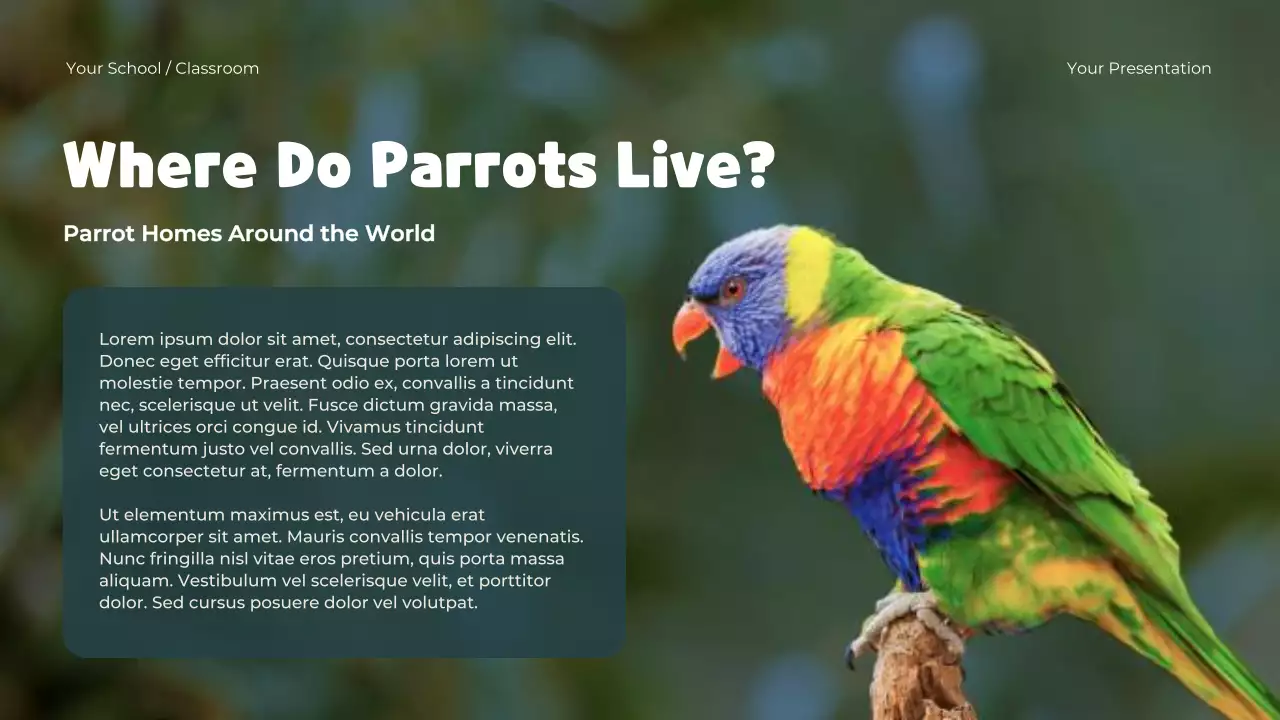 Blue Playful Animals Adventure Presentation