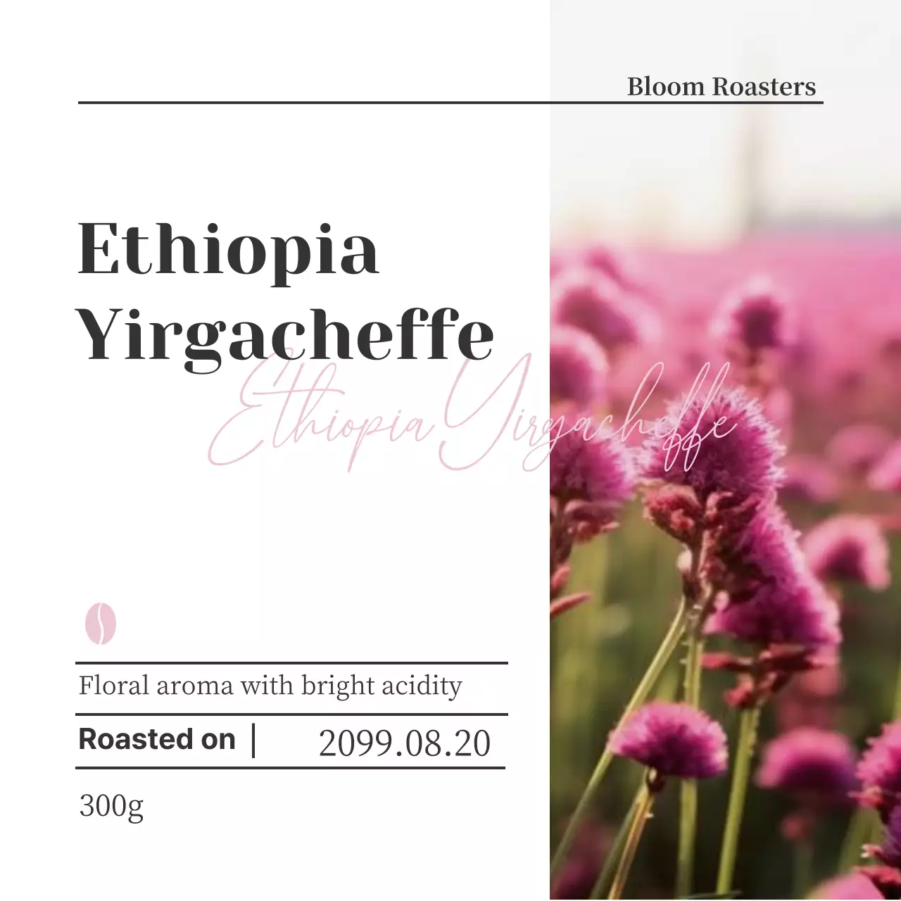 ピンク シンプル コーヒー ラベル コーヒー豆ラベル