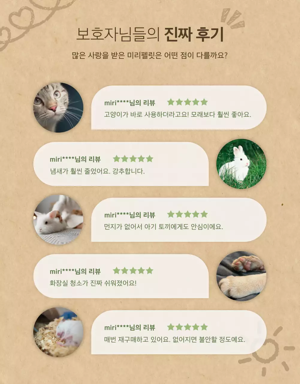 초록 아기자기한 반려동물 광고