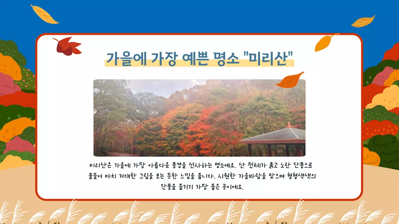 원색의 선명한 귀여운 가을 소개