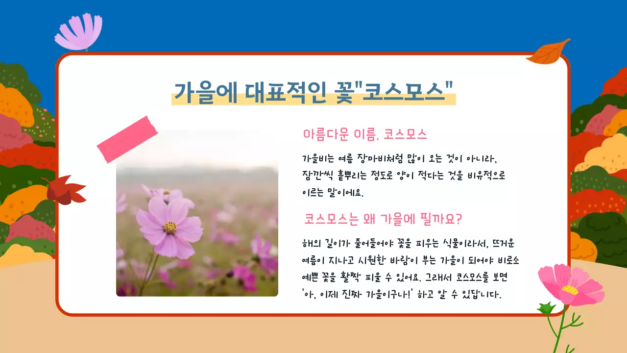 원색의 선명한 귀여운 가을 소개