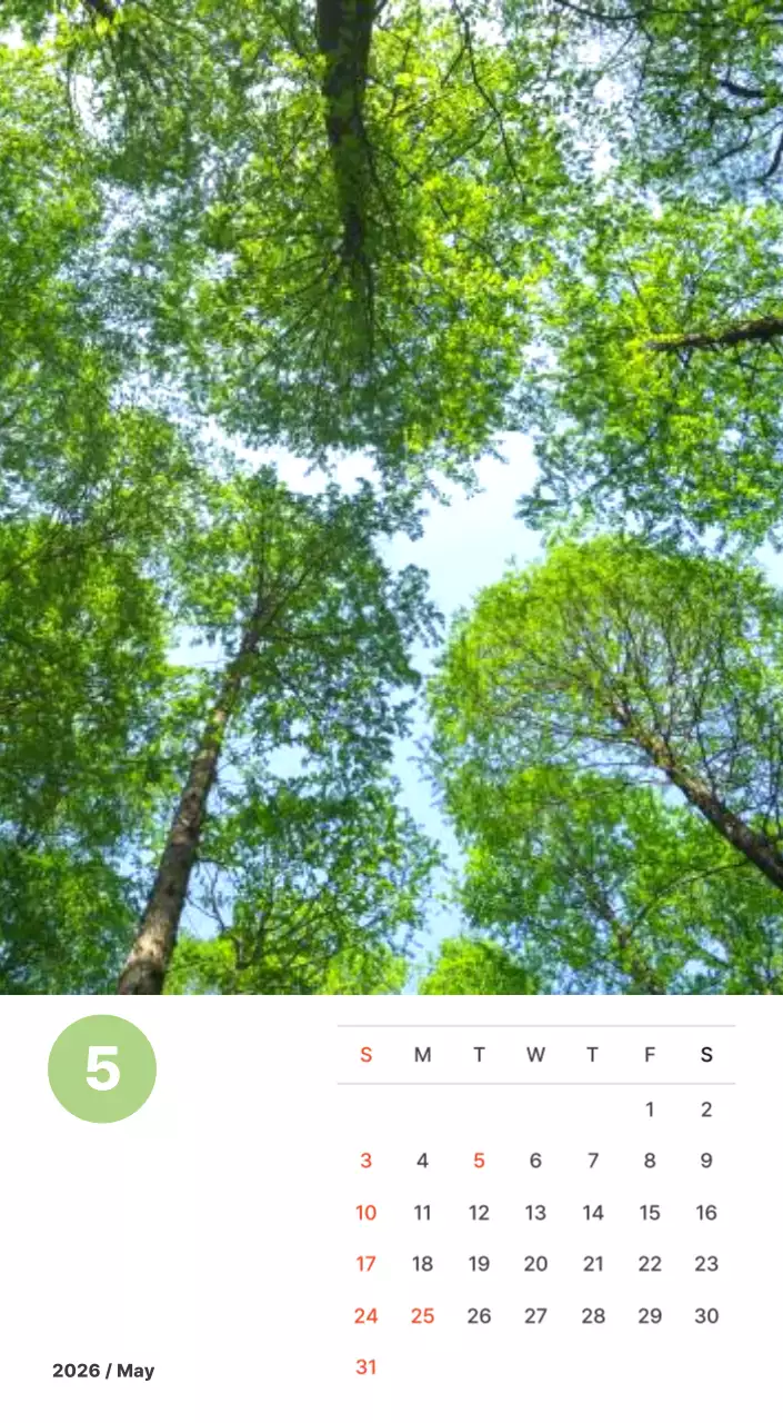 파스텔 컬러의 따뜻한 풍경 사진