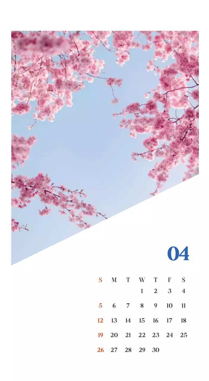 계절별 풍경 사진이 담긴 병원 달력