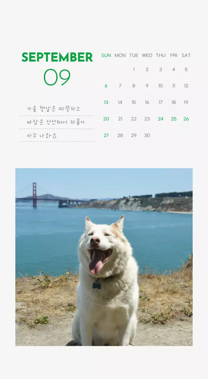 초록색 포인트 컬러에 강아지 사진과 귀여운 메시지가 있는 달력