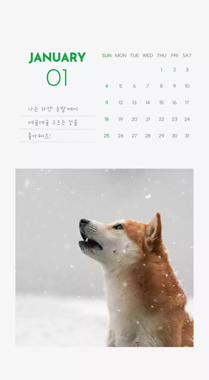 초록색 포인트 컬러에 강아지 사진과 귀여운 메시지가 있는 달력