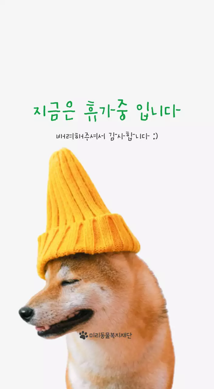 초록색 포인트 컬러에 강아지 사진과 귀여운 메시지가 있는 달력