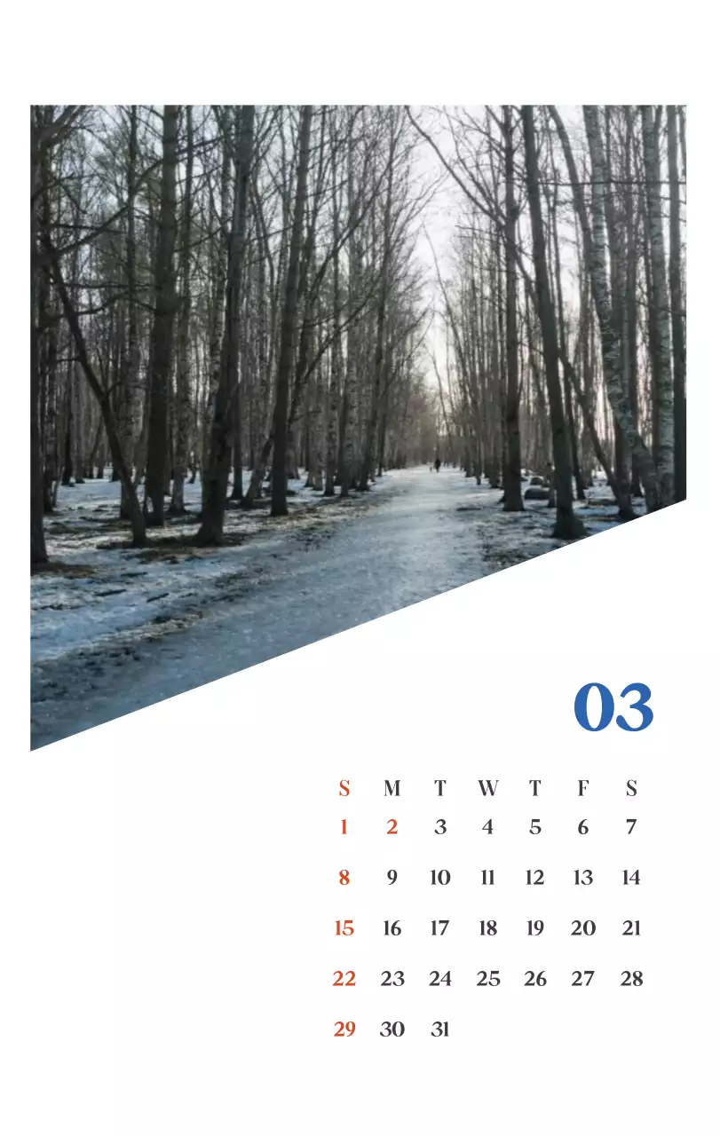 계절별 풍경 사진이 담긴 병원 달력