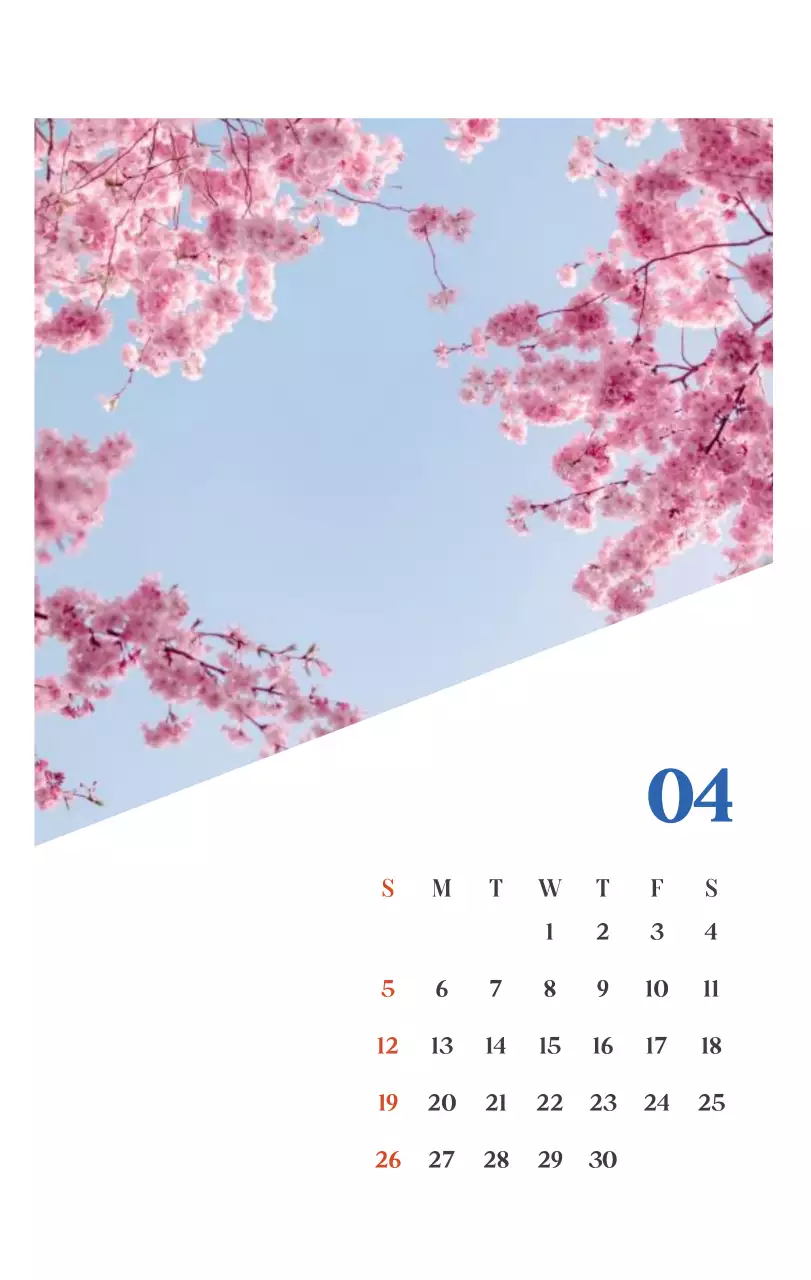 계절별 풍경 사진이 담긴 병원 달력