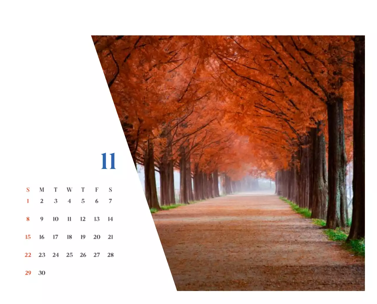 계절별 풍경 사진이 담긴 병원 달력