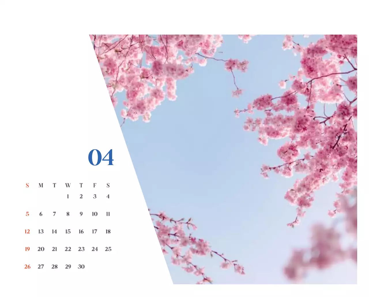 계절별 풍경 사진이 담긴 병원 달력