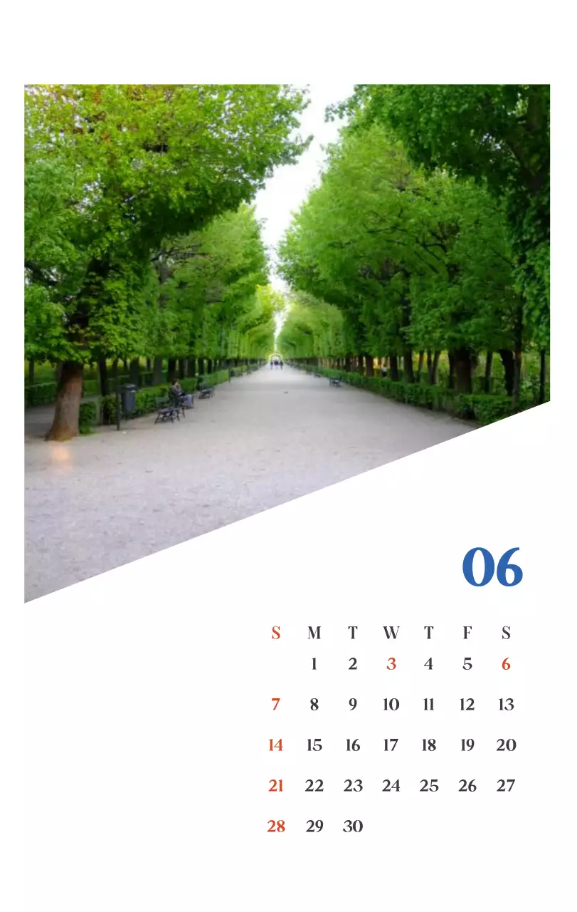 계절별 풍경 사진이 담긴 병원 달력