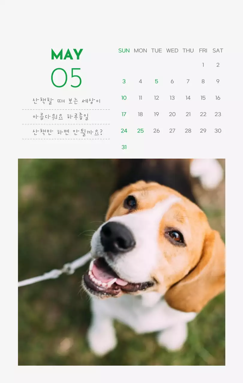 초록색 포인트 컬러에 강아지 사진과 귀여운 메시지가 있는 달력