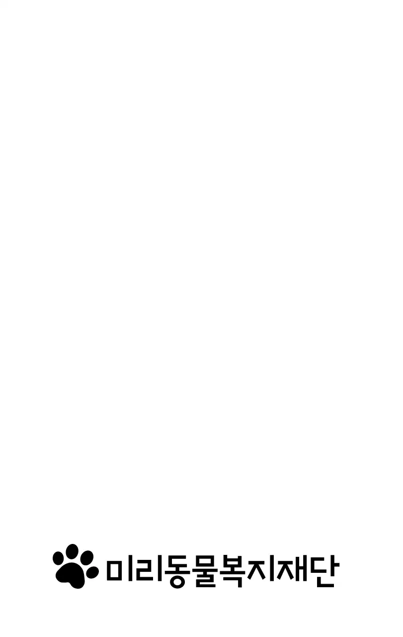 초록색 포인트 컬러에 강아지 사진과 귀여운 메시지가 있는 달력