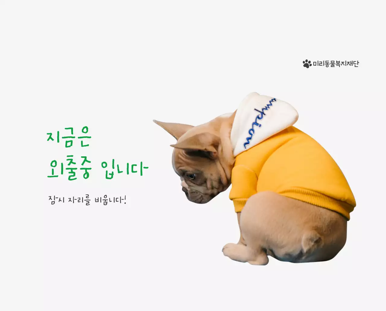 초록색 포인트 컬러에 강아지 사진과 귀여운 메시지가 있는 달력