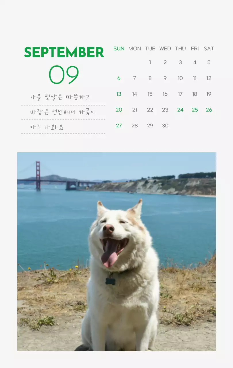 초록색 포인트 컬러에 강아지 사진과 귀여운 메시지가 있는 달력