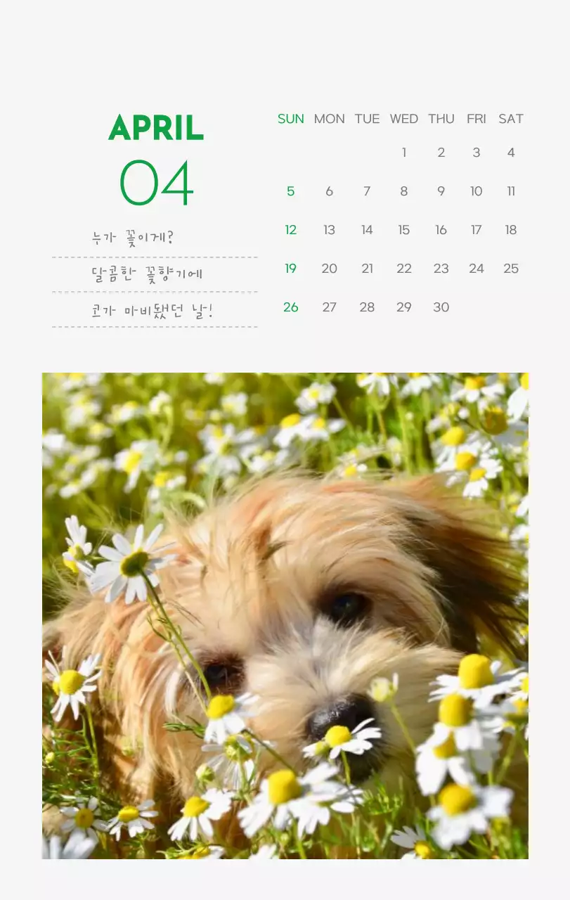 초록색 포인트 컬러에 강아지 사진과 귀여운 메시지가 있는 달력