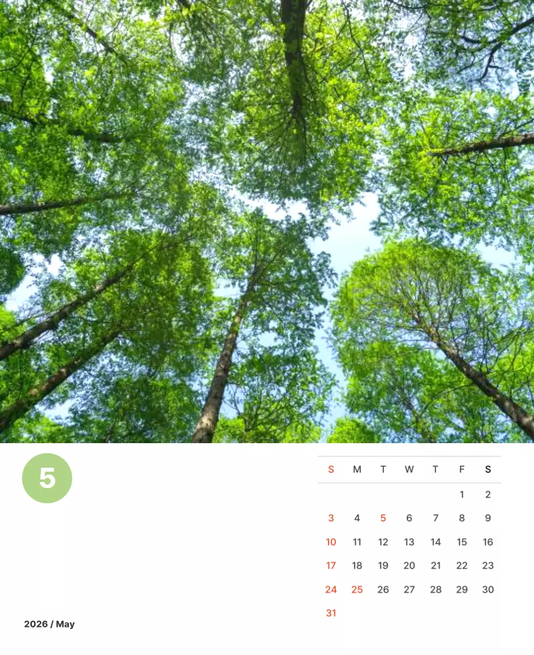 파스텔 컬러의 따뜻한 풍경 사진