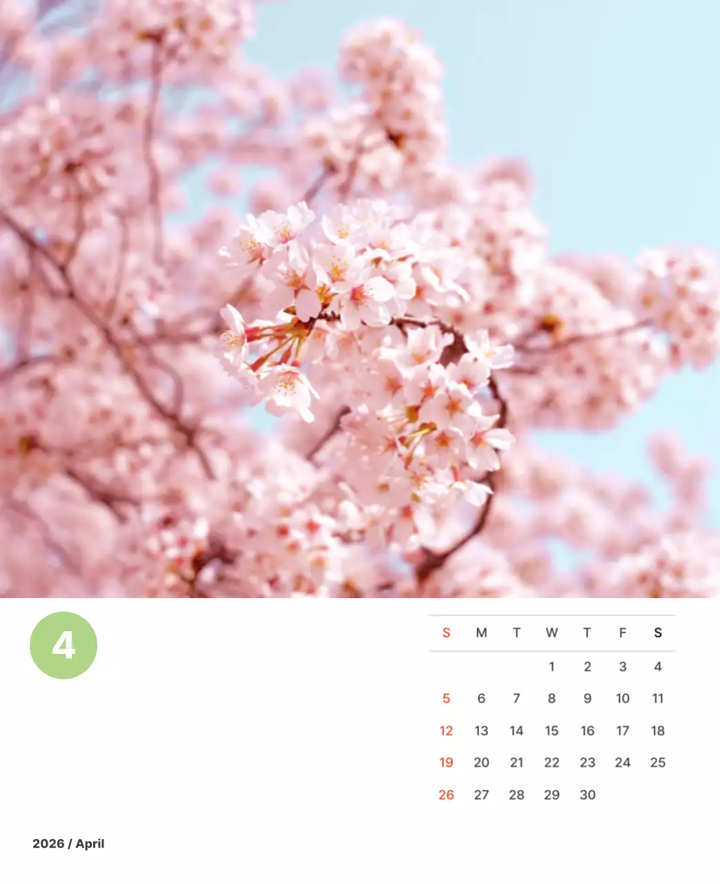 파스텔 컬러의 따뜻한 풍경 사진