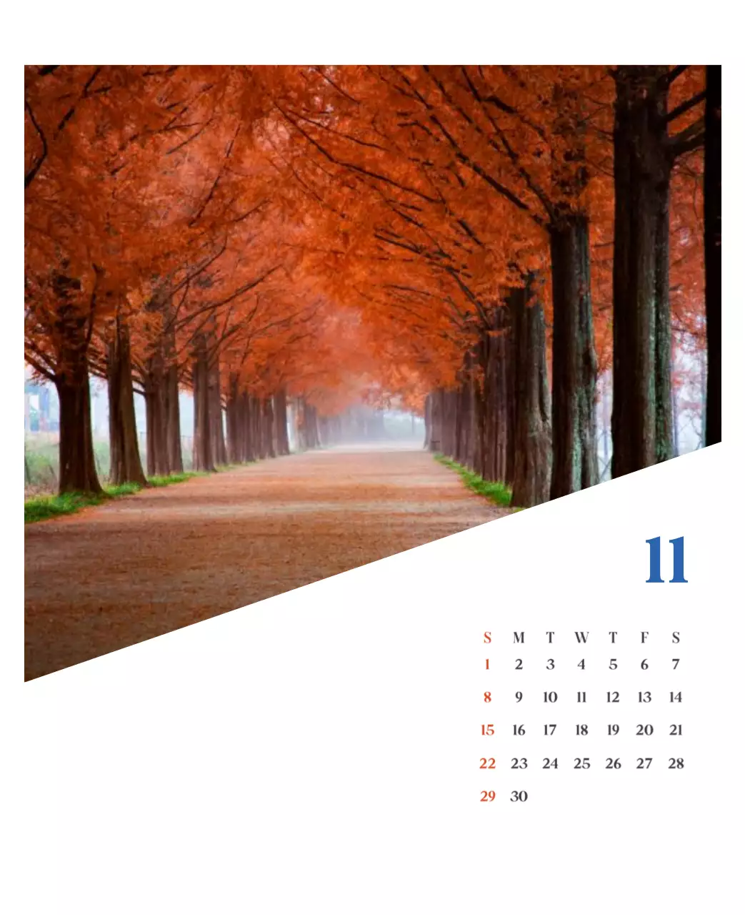 계절별 풍경 사진이 담긴 병원 달력