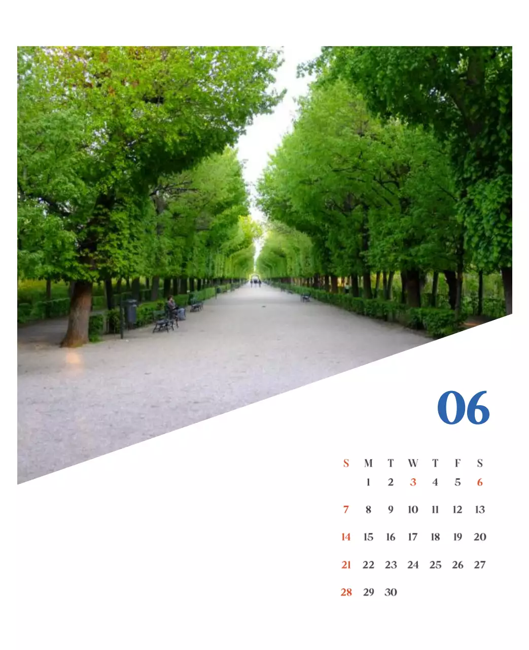 계절별 풍경 사진이 담긴 병원 달력