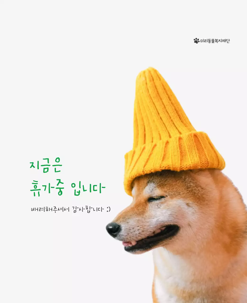 초록색 포인트 컬러에 강아지 사진과 귀여운 메시지가 있는 달력