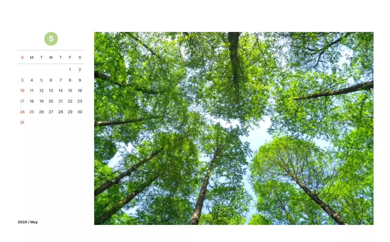 파스텔 컬러의 따뜻한 풍경 사진