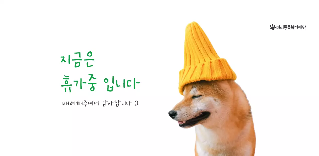 초록색 포인트 컬러에 강아지 사진과 귀여운 메시지가 있는 달력