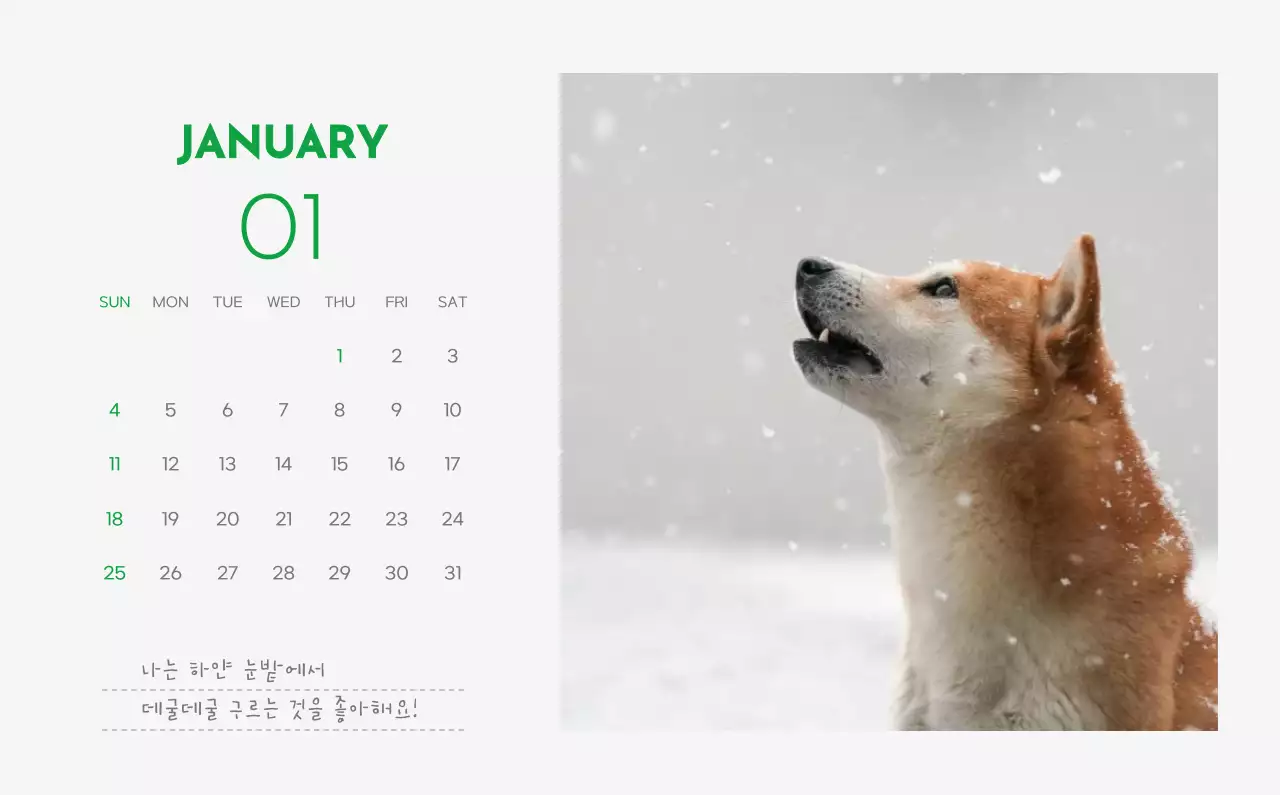 초록색 포인트 컬러에 강아지 사진과 귀여운 메시지가 있는 달력