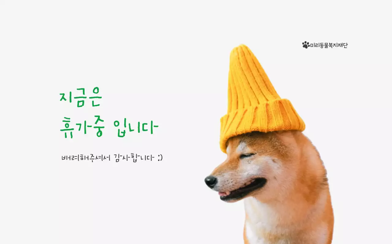 초록색 포인트 컬러에 강아지 사진과 귀여운 메시지가 있는 달력