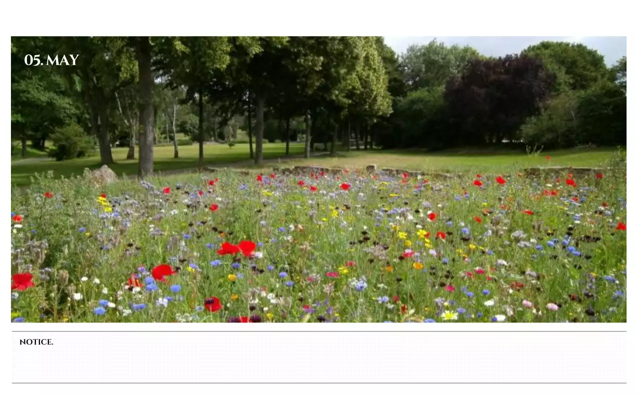 흑백 감성적인 여행 사진 컨셉의 심플한 스타일 달력