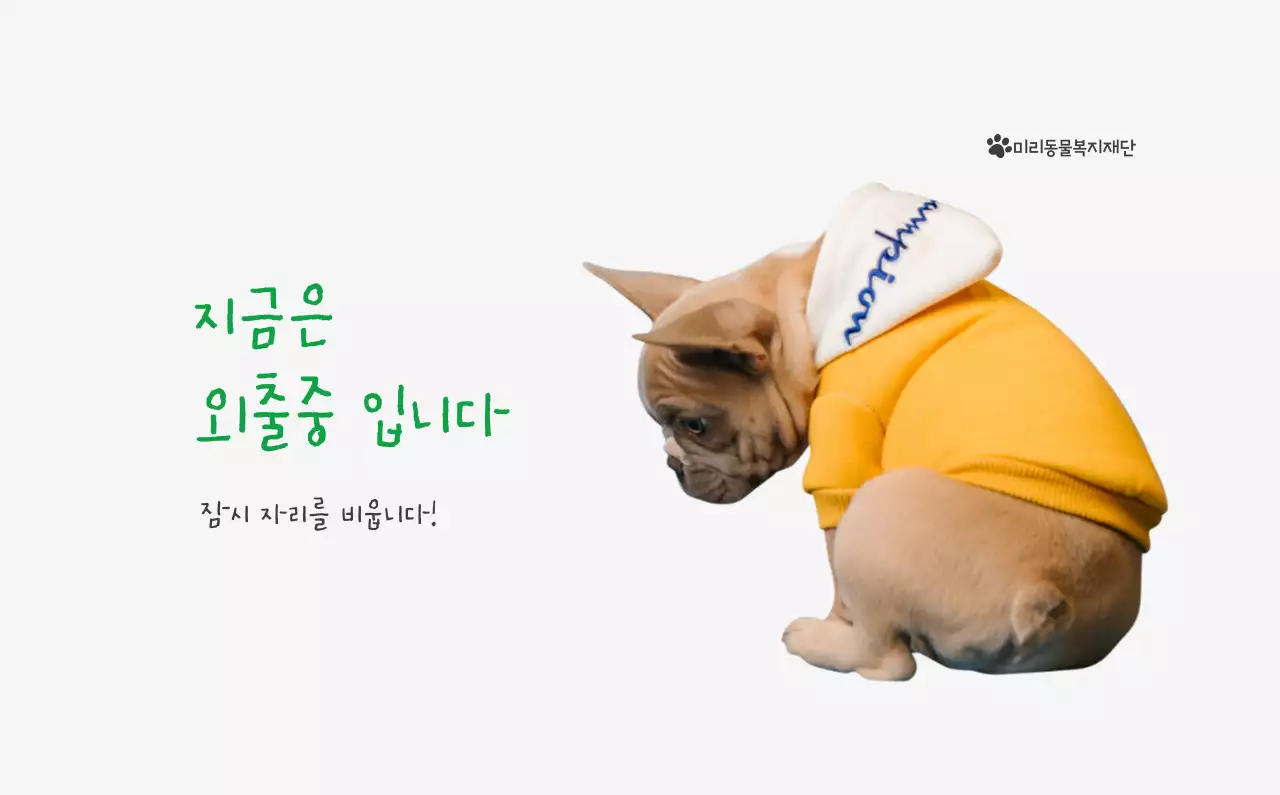 초록색 포인트 컬러에 강아지 사진과 귀여운 메시지가 있는 달력